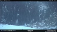 Archived image Webcam Malga Tognola 17:00