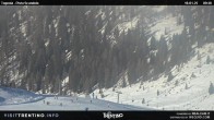 Archiv Foto Webcam Malga Tognola 09:00