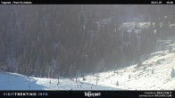 Archiv Foto Webcam Malga Tognola 15:00