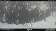 Archived image Webcam Malga Tognola 09:00