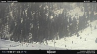 Archived image Webcam Malga Tognola 11:00