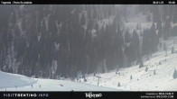 Archived image Webcam Malga Tognola 15:00