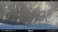 Archived image Webcam Malga Tognola 07:00