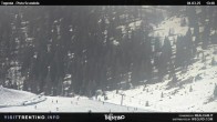 Archived image Webcam Malga Tognola 13:00