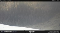 Archiv Foto Webcam Malga Tognola 11:00