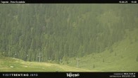 Archiv Foto Webcam Malga Tognola 11:00