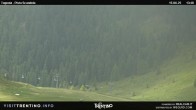 Archiv Foto Webcam Malga Tognola 13:00