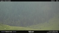 Archiv Foto Webcam Malga Tognola 17:00