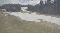 Archiv Foto Webcam Stuhleck: Bergstation Promibahn und Beginnerpark 13:00