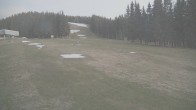 Archiv Foto Webcam Stuhleck: Bergstation Promibahn und Beginnerpark 14:00