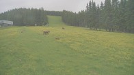 Archived image Webcam Stuhleck: Top station Promibahn 13:00