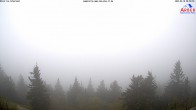 Archived image Webcam Großer Arber mountain (south) 01:00