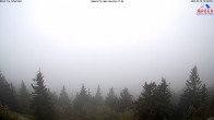 Archived image Webcam Großer Arber mountain (south) 04:00