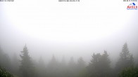 Archived image Webcam Großer Arber mountain (south) 09:00