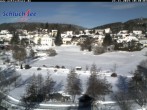 Archived image Webcam Wiesengrundpark recreation area 09:00