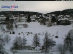 Archiv Foto Webcam Schluchsee: Wiesengrundpark 11:00