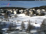 Archived image Webcam Wiesengrundpark recreation area 13:00