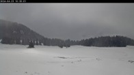 Archived image Webcam Plateau Arselle Cross Country Ski 09:00