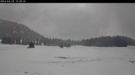Archived image Webcam Plateau Arselle Cross Country Ski 11:00