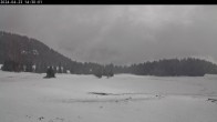 Archived image Webcam Plateau Arselle Cross Country Ski 13:00