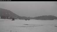 Archived image Webcam Plateau Arselle Cross Country Ski 17:00