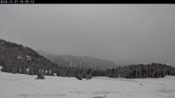 Archived image Webcam Plateau Arselle Cross Country Ski 09:00