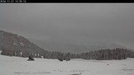 Archived image Webcam Plateau Arselle Cross Country Ski 11:00