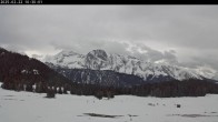 Archived image Webcam Plateau Arselle Cross Country Ski 09:00