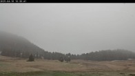 Archiv Foto Webcam Langlauf Plateau Arselle 09:00