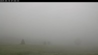 Archived image Webcam Plateau Arselle Cross Country Ski 06:00