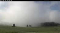 Archived image Webcam Plateau Arselle Cross Country Ski 07:00
