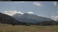 Archiv Foto Webcam Langlauf Plateau Arselle 11:00