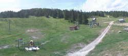Archiv Foto Webcam Lelex: Bergstation Catheline 11:00