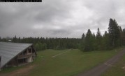 Archived image Webcam La Vattay - 1300m 11:00