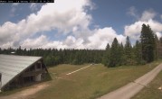 Archiv Foto Webcam Monts Jura: La Vattay 13:00