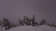 Archiv Foto Webcam Sunshine Village: Rock Isle Lake 01:00