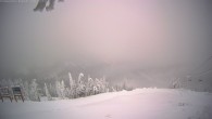 Archiv Foto Webcam Blick vom Red Mountain 13:00