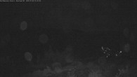 Archiv Foto Webcam Blick vom Red Mountain 02:00
