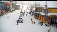 Archived image Webcam Village cam 11:00