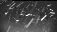 Archived image Webcam Silver Star: Second Comet cam 02:00