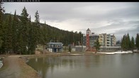 Archived image Webcam Brewer´s Pond Cam 08:00