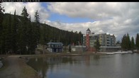 Archived image Webcam Brewer´s Pond Cam 16:00