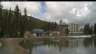 Archived image Webcam Brewer´s Pond Cam 10:00