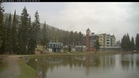 Archived image Webcam Brewer´s Pond Cam 08:00