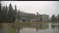 Archived image Webcam Brewer´s Pond Cam 12:00