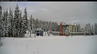 Archiv Foto Webcam Blick auf Brewer´s Pond 11:00