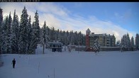 Archiv Foto Webcam Blick auf Brewer´s Pond 13:00