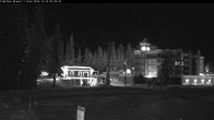 Archived image Webcam Brewer´s Pond Cam 05:00