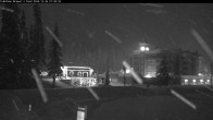 Archived image Webcam Brewer´s Pond Cam 01:00