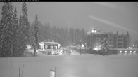 Archived image Webcam Brewer´s Pond Cam 07:00